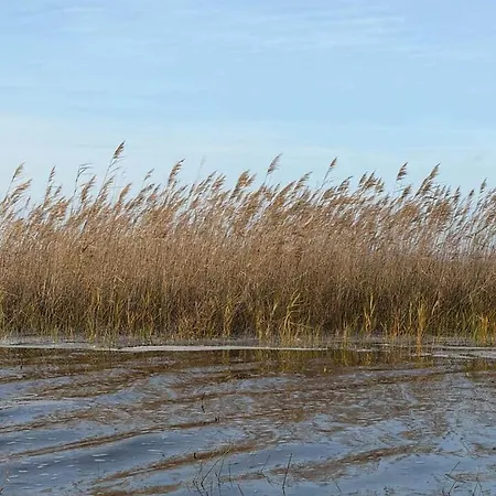 Le Du * Biscarrosse