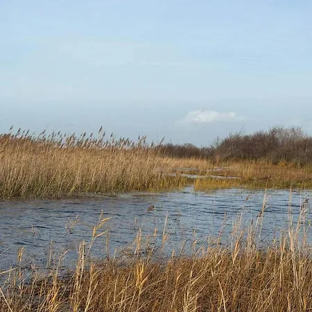 Le Du * Biscarrosse